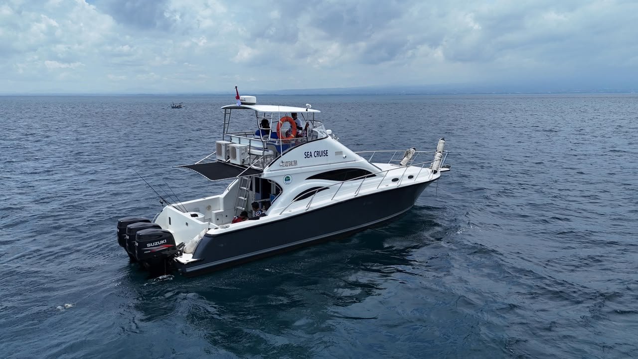 Sea Cruise dari udara